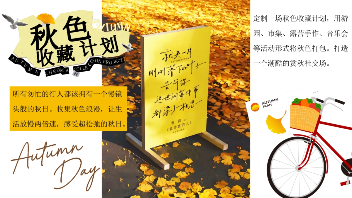 2025秋季秋色收藏计划秋日游园会主题活动方案_第4页