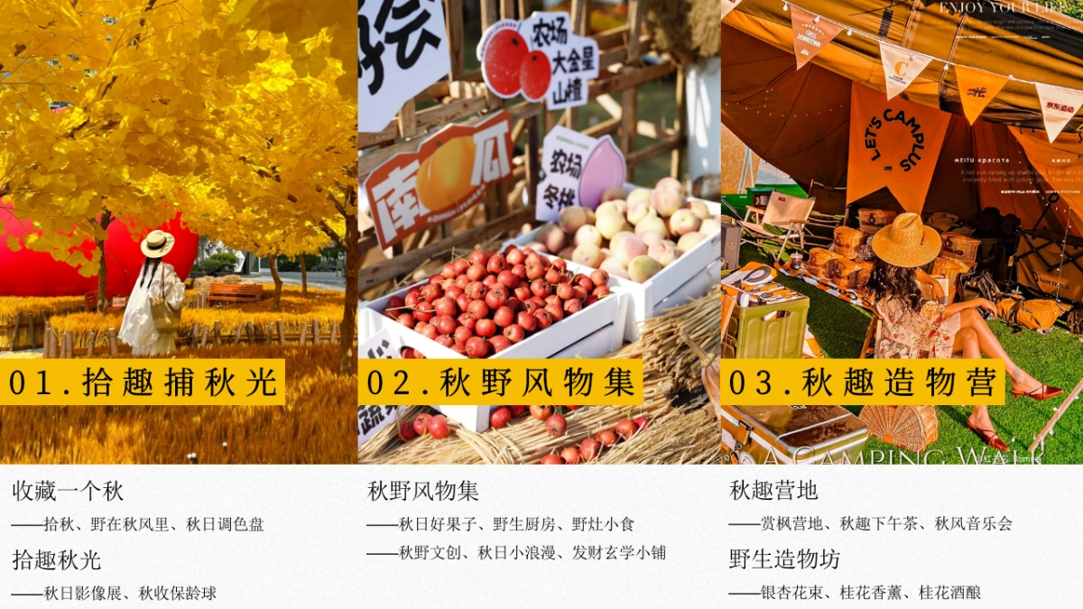 2025秋季秋色收藏计划秋日游园会主题活动方案_第7页