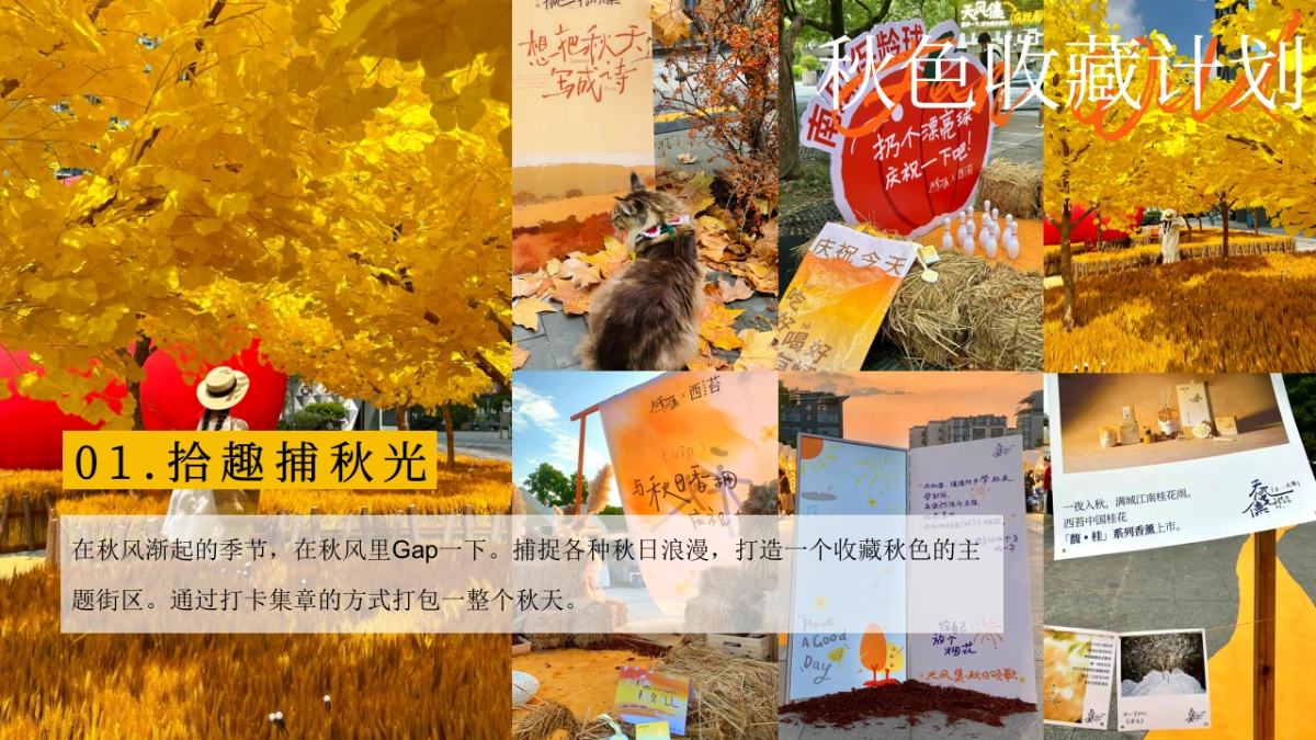 2025秋季秋色收藏计划秋日游园会主题活动方案_第8页