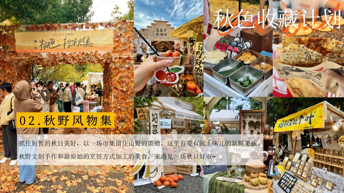 2025秋季秋色收藏计划秋日游园会主题活动方案_第9页