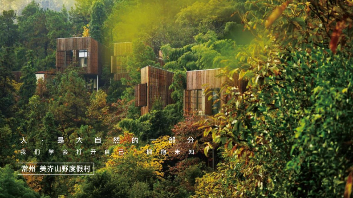 【携程】美宿家民宿IP合作方案_第7页