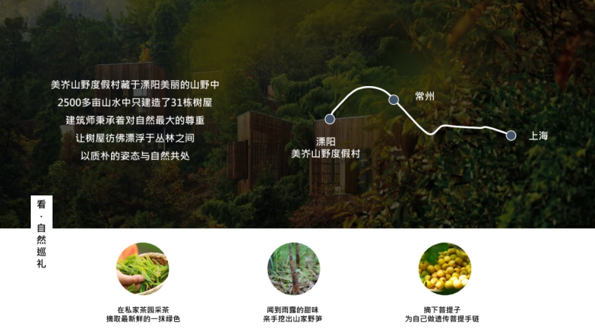 【携程】美宿家民宿IP合作方案_第8页