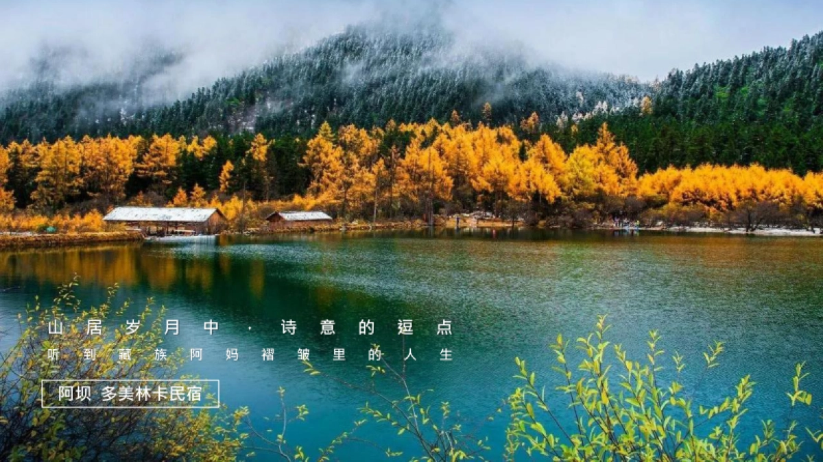 【携程】美宿家民宿IP合作方案_第9页