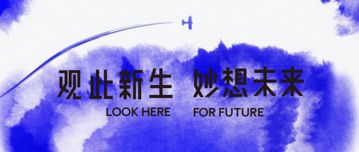 上海龙华会项目品牌手册_第10页