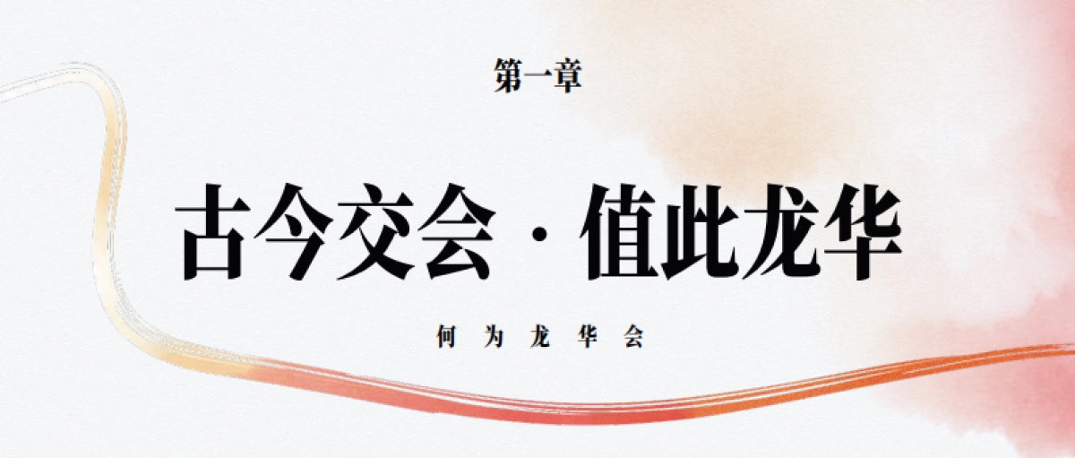 上海龙华会项目品牌手册_第6页