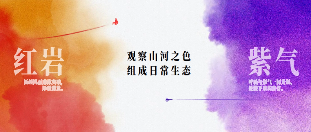 上海龙华会项目品牌手册_第7页