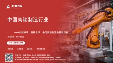 2024年中国高端制造行业研究报告-灼鼎咨询