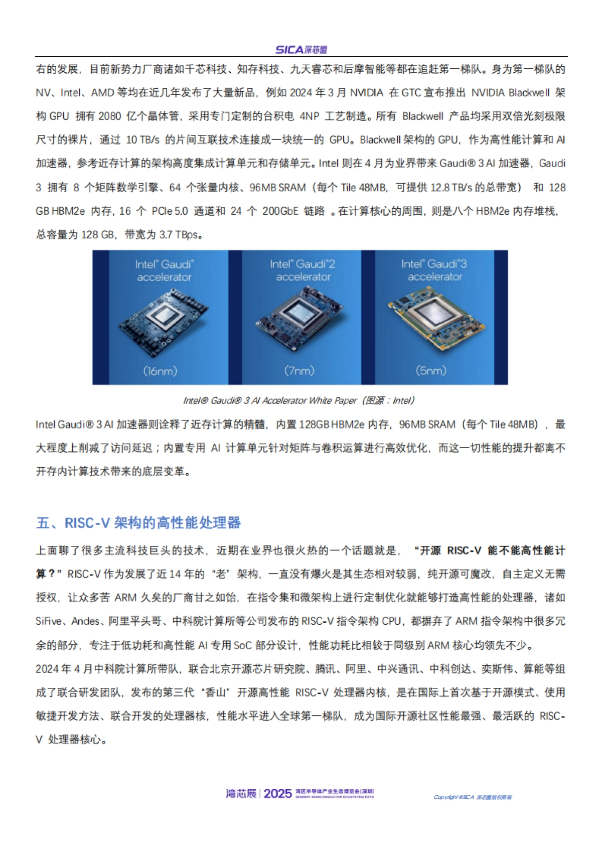 2025年年国产AI芯片和高性能处理器厂商排名和行业趋势报告-深芯盟_第10页