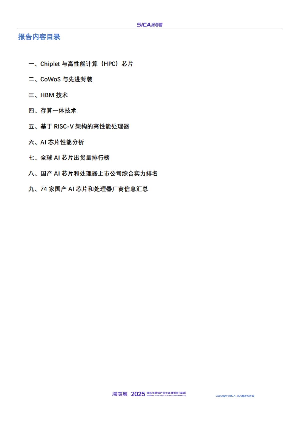 2025年年国产AI芯片和高性能处理器厂商排名和行业趋势报告-深芯盟_第2页