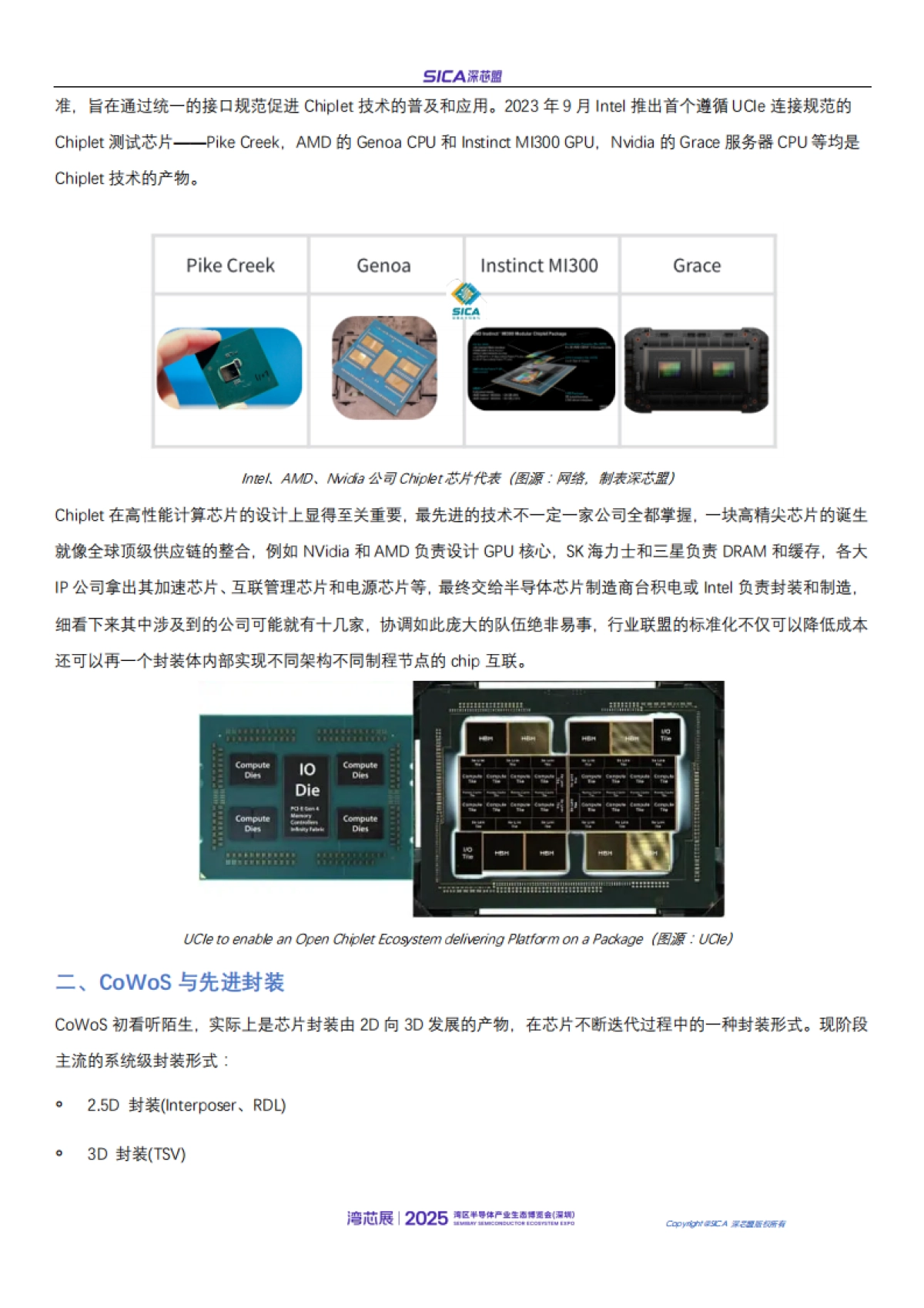 2025年年国产AI芯片和高性能处理器厂商排名和行业趋势报告-深芯盟_第4页