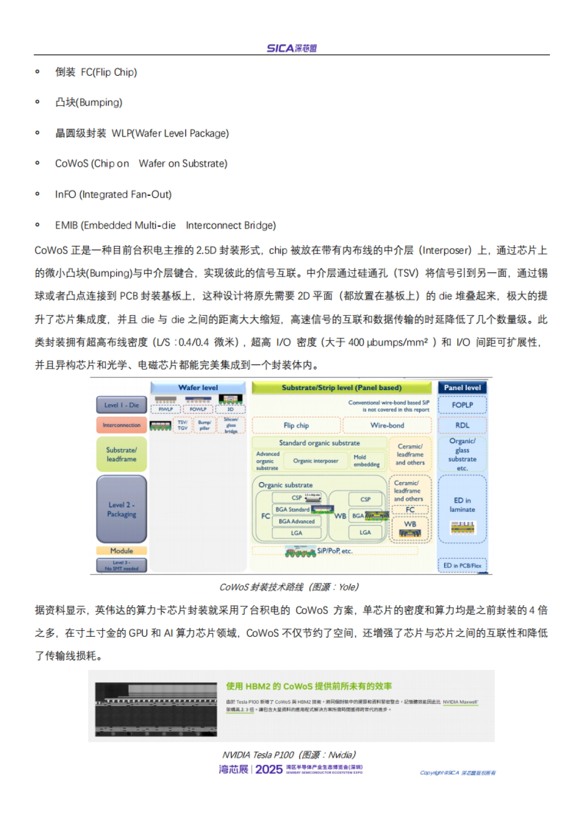 2025年年国产AI芯片和高性能处理器厂商排名和行业趋势报告-深芯盟_第5页