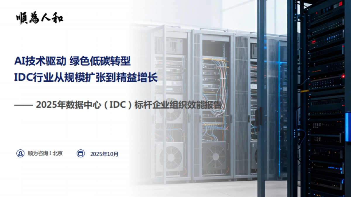 2025年数据中心(IDC)标杆企业组织效能报告-顺为人和_第1页
