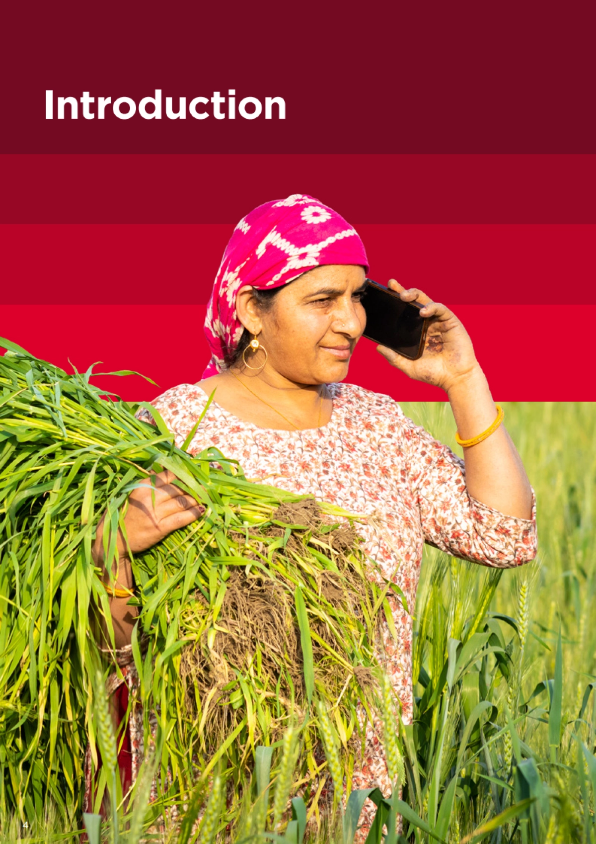 2025年移动性别差距报告-GSMA_第4页