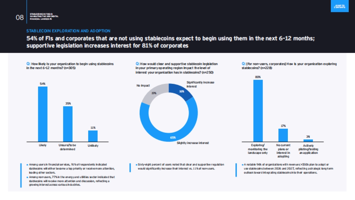 2025年稳定币聚焦：驾驭新数字金融格局研究报告（英文版）-EY安永_第10页