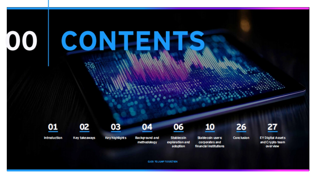 2025年稳定币聚焦：驾驭新数字金融格局研究报告（英文版）-EY安永_第2页