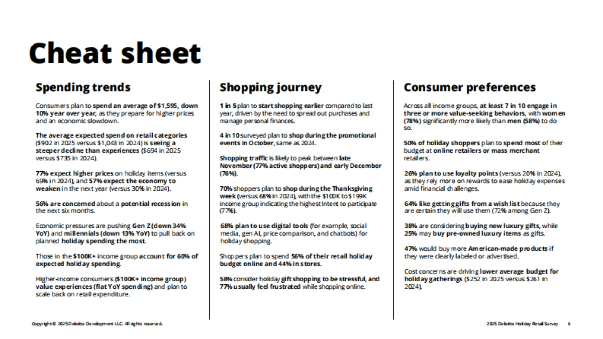 2025年假日零售调查报告_第6页