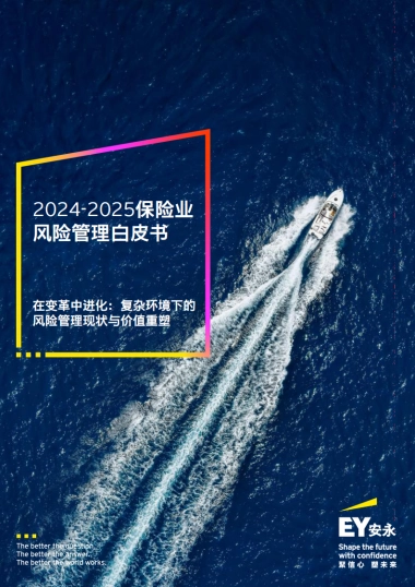 2024-2025保险业风险管理白皮书-安永
