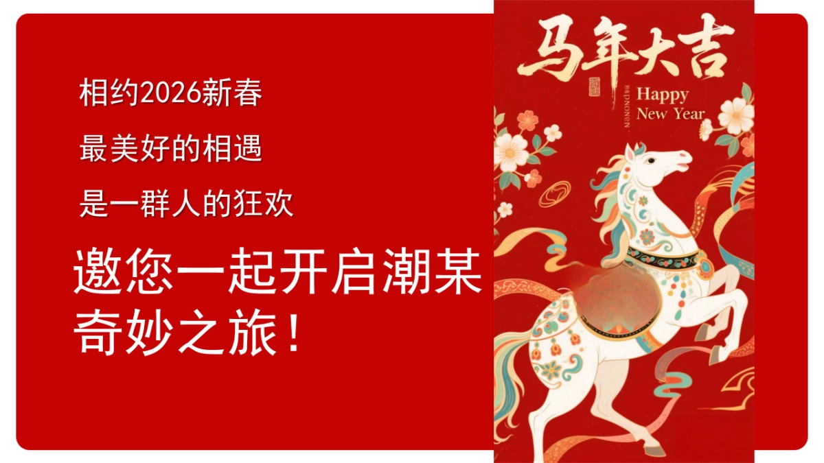 2026马年市集嘉年华「开年有戏+趣味迎新主题」活动策划方案_第3页