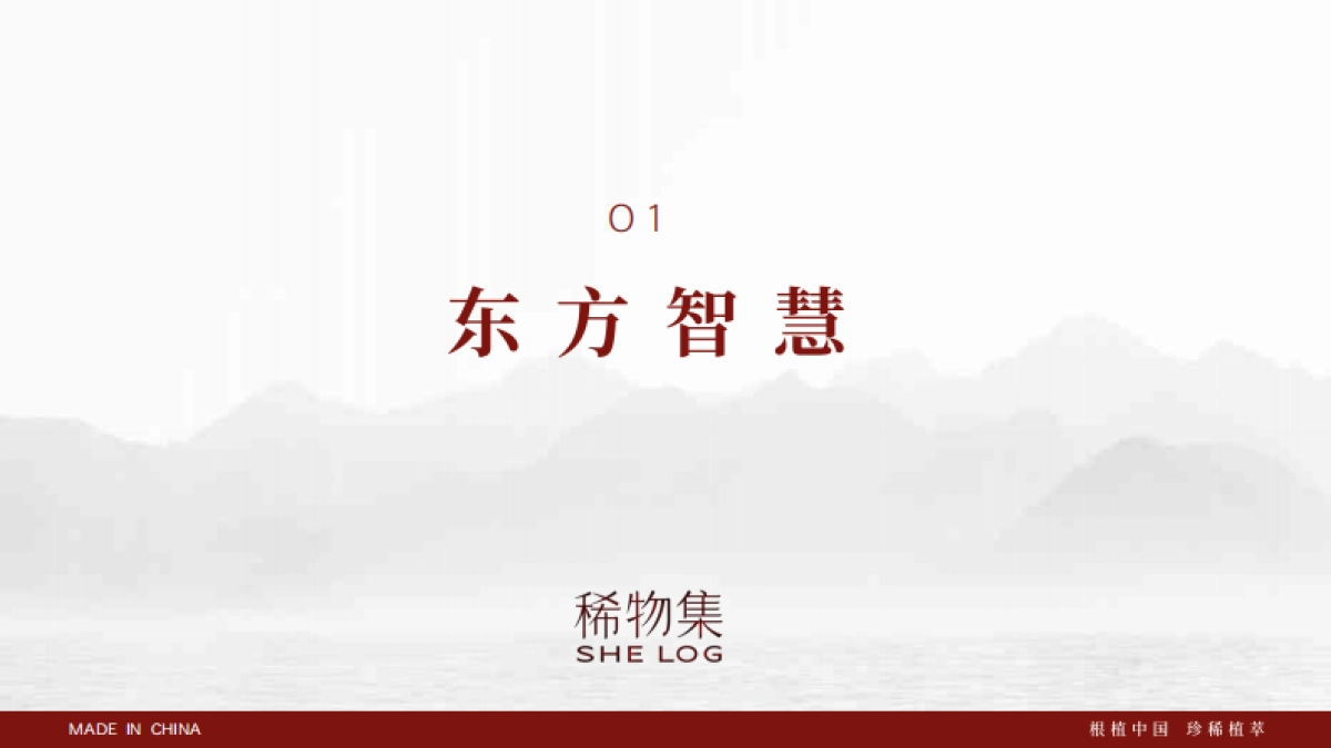 稀物集护肤品牌手册_第4页