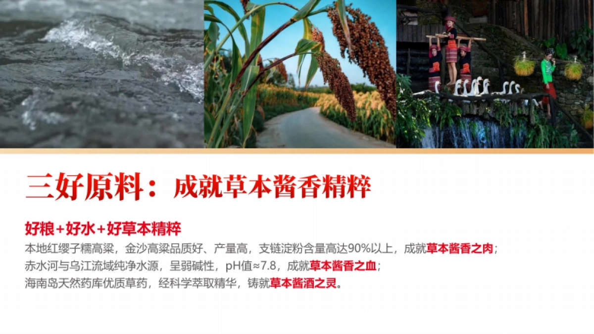 椰岛草本酱酒财富新赛道(发战略合作伙伴)_第8页