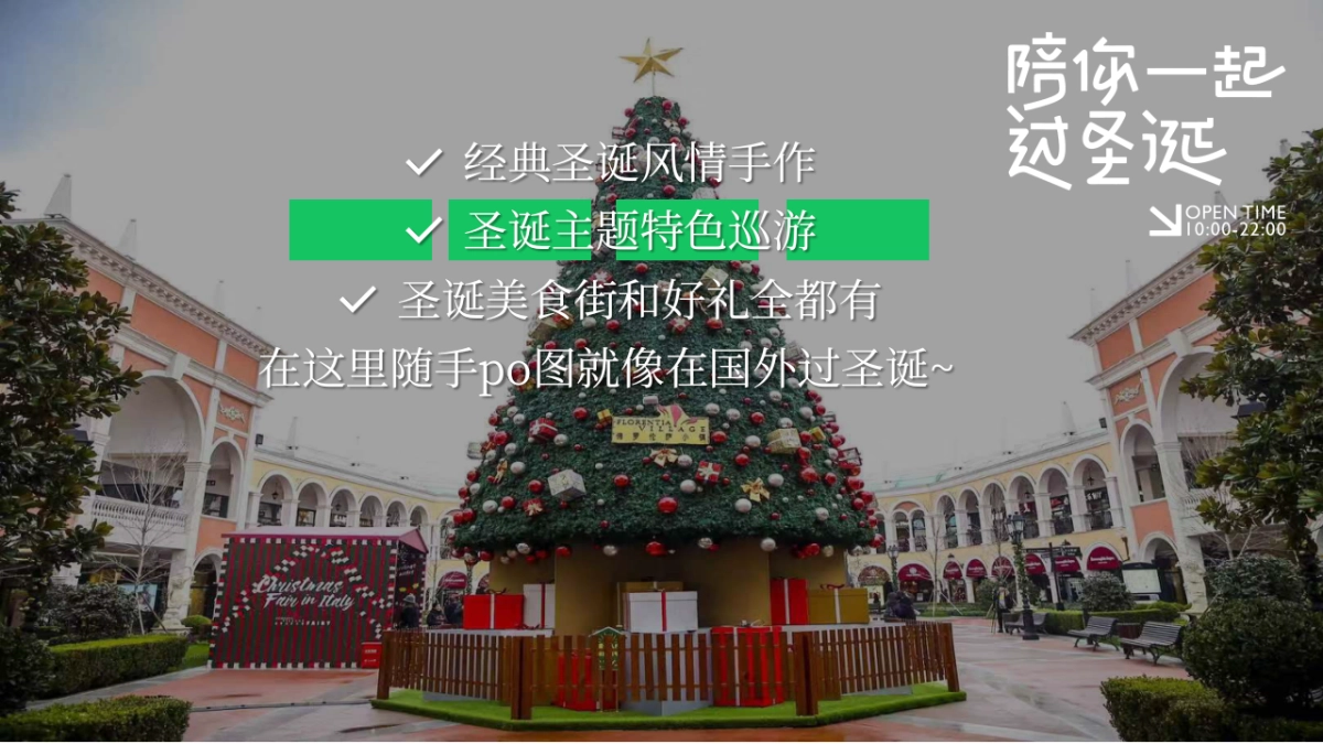 2024陪你一起过圣诞节平安夜主题活动方案_第3页