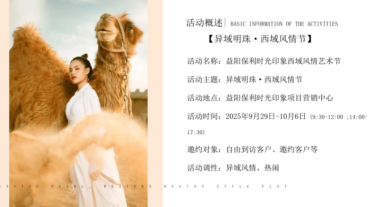 2025益阳保利时光印象异域明珠西域风情艺术节活动策划方案_第3页