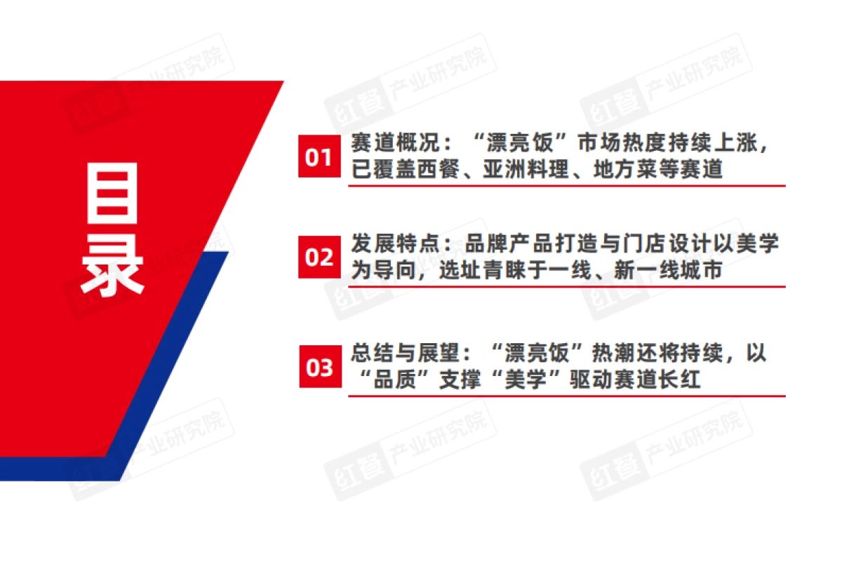 餐饮行业“漂亮饭”研究报告2025-红餐产业研究院_第3页