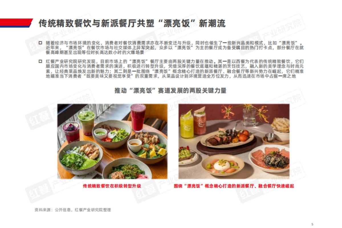 餐饮行业“漂亮饭”研究报告2025-红餐产业研究院_第5页