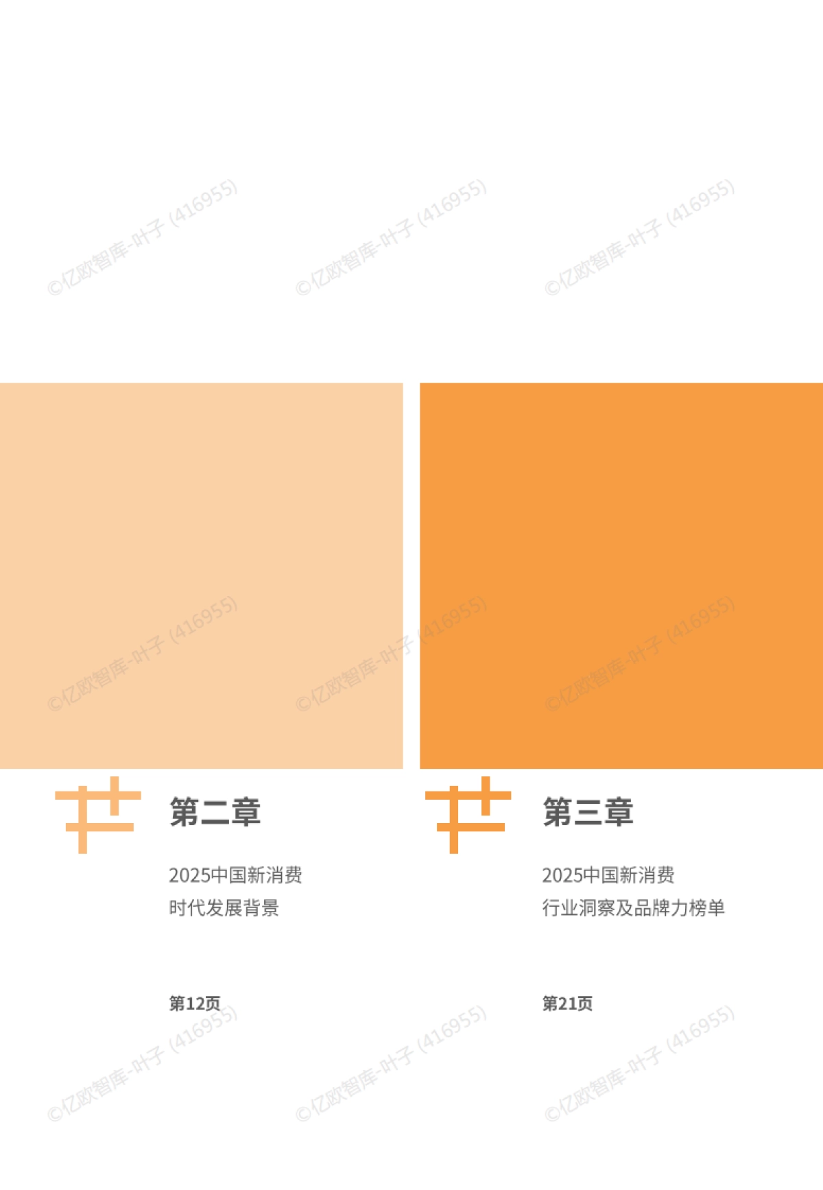 2025中国新消费发展洞察 暨品牌力榜单-亿欧智库_第3页