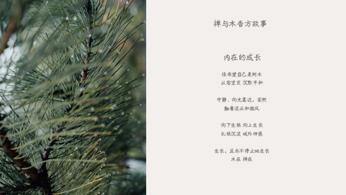 露迦徒香氛个护品牌手册_第4页