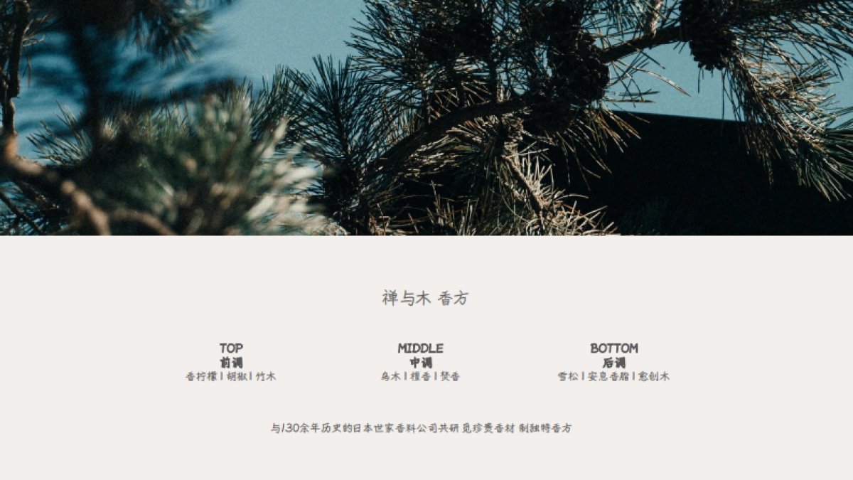 露迦徒香氛个护品牌手册_第5页