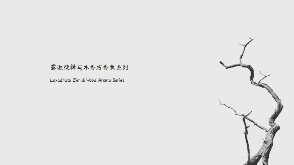 露迦徒香氛个护品牌手册_第6页