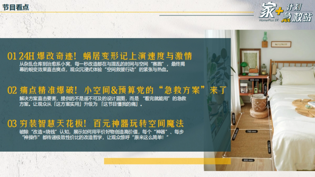抖音家装家居IP家场景内容解决方案_第9页