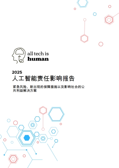 2025人工智能责任影响报告：紧急风险、新出现的保障措施以及影响社会的公共利益解决方案