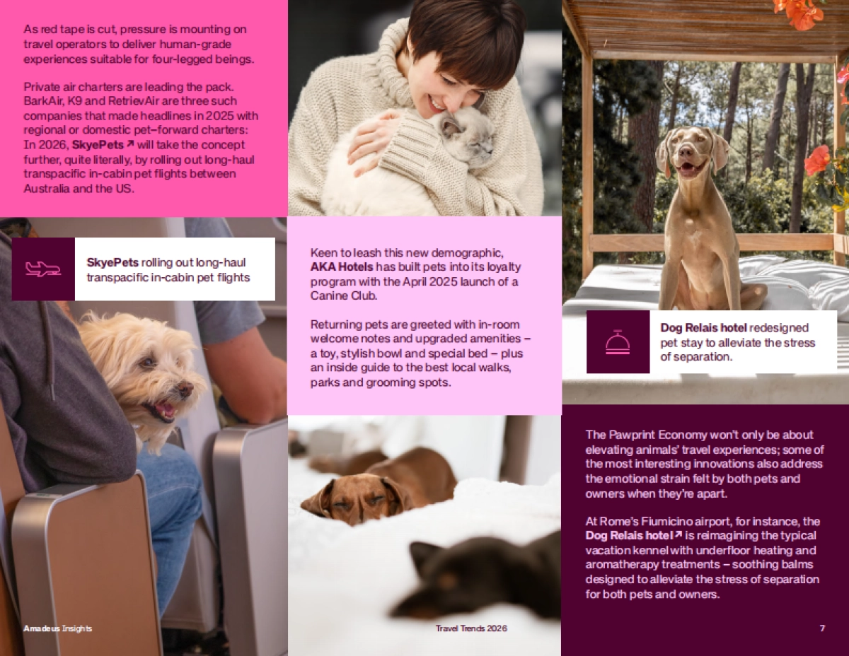 2026年全球旅游趋势报告(英文)-Amadeus_第7页