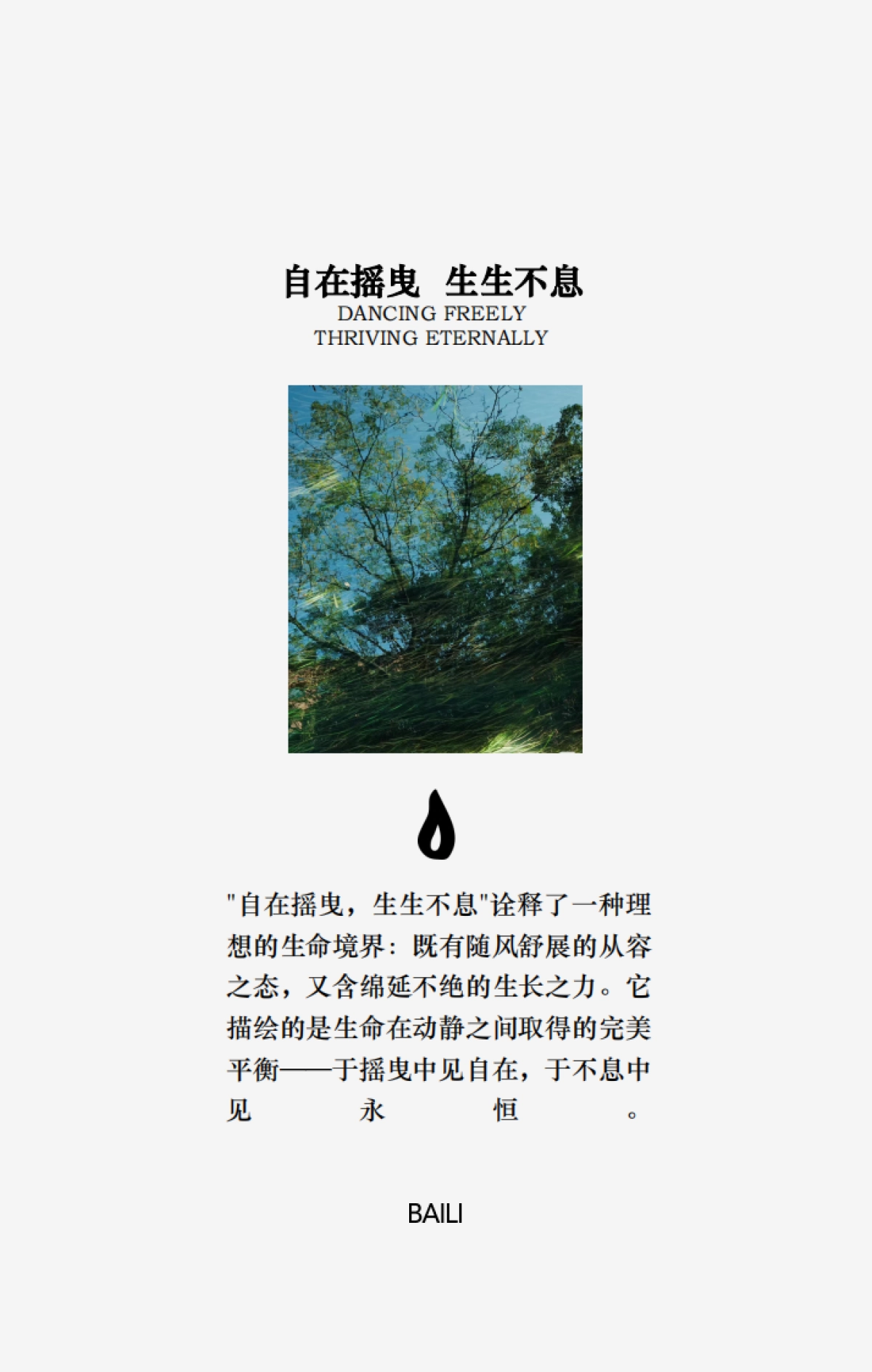 白里香薰品牌手册_第5页