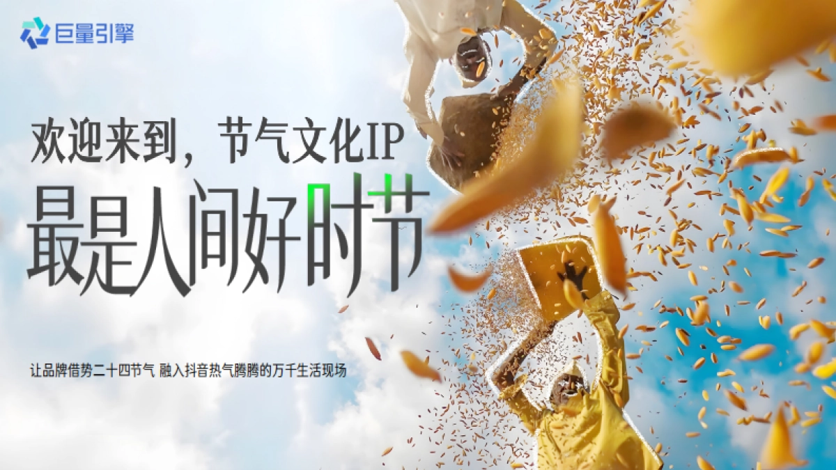 2026抖音节气文化IP最是人间好时节招商方案_第5页