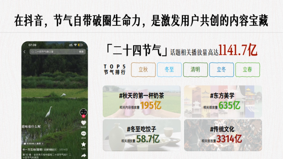 2026抖音节气文化IP最是人间好时节招商方案_第6页