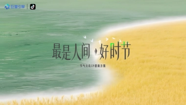2026抖音节气文化IP最是人间好时节招商方案