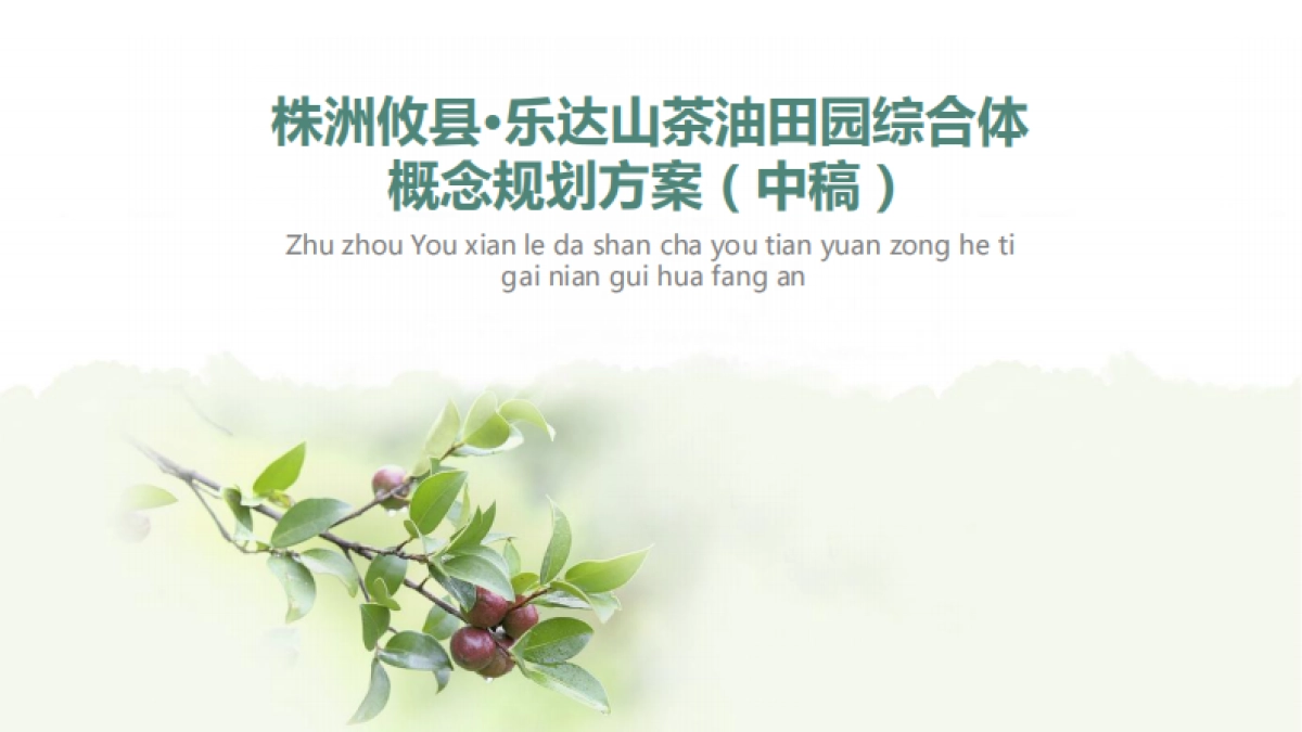 湖南攸县乐达山茶油田园综合体概念规划_第1页