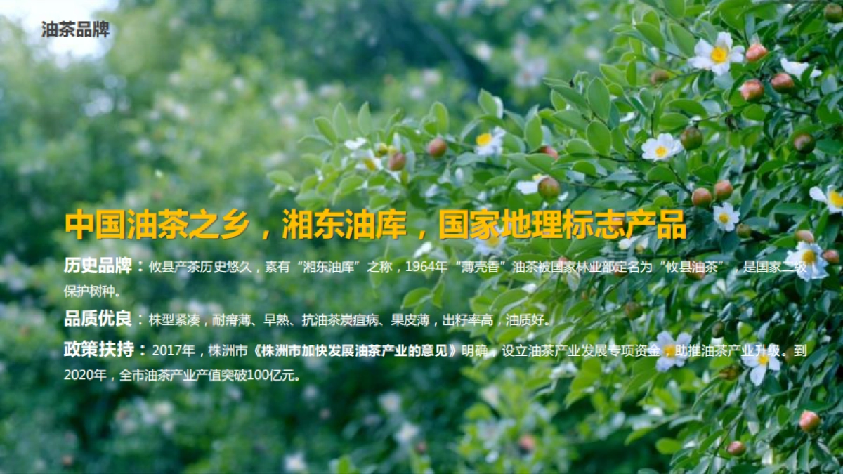 湖南攸县乐达山茶油田园综合体概念规划_第3页