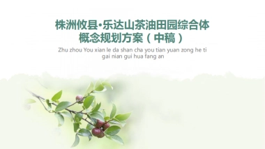 湖南攸县乐达山茶油田园综合体概念规划