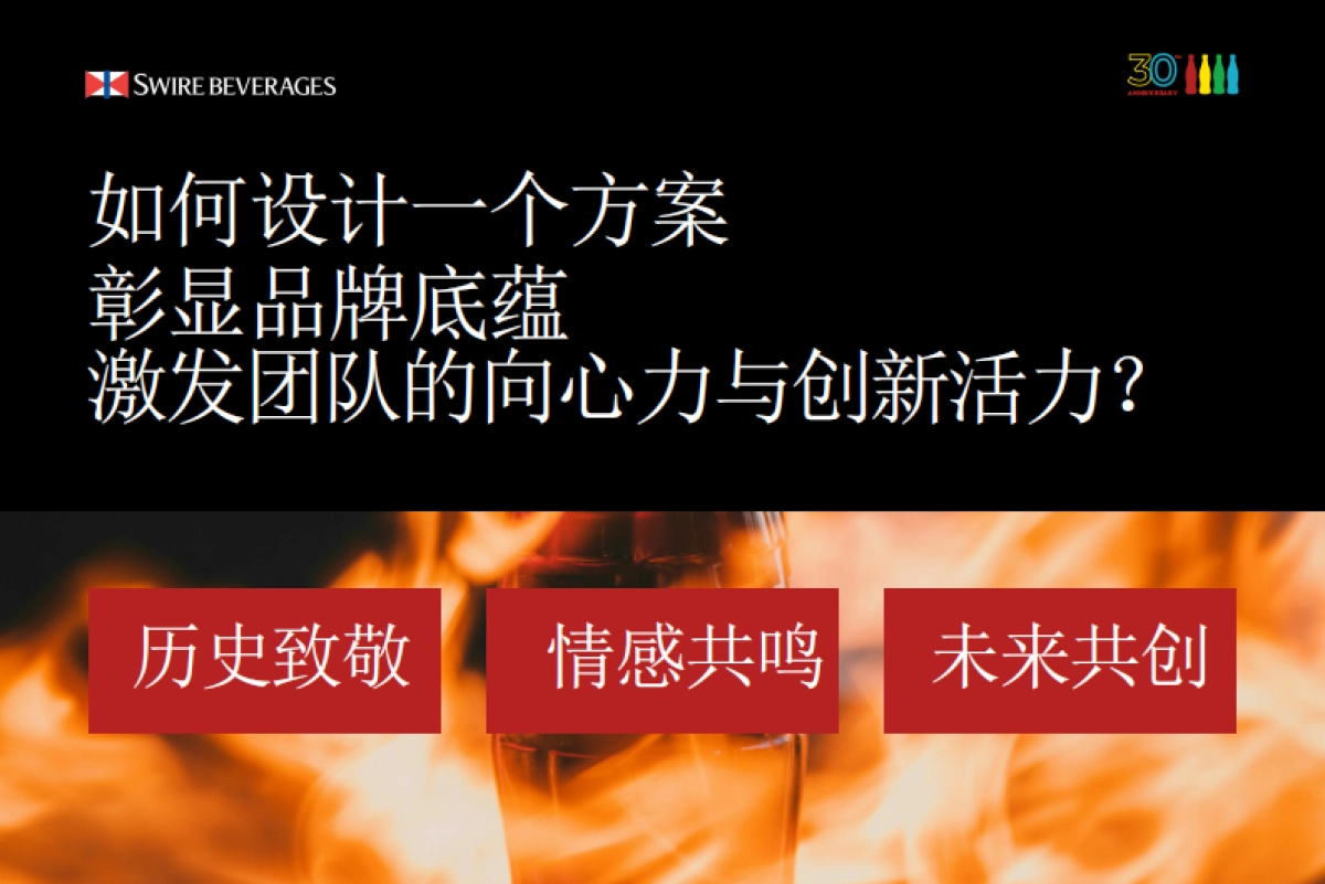 可口可乐 30周年庆策划方案_第5页