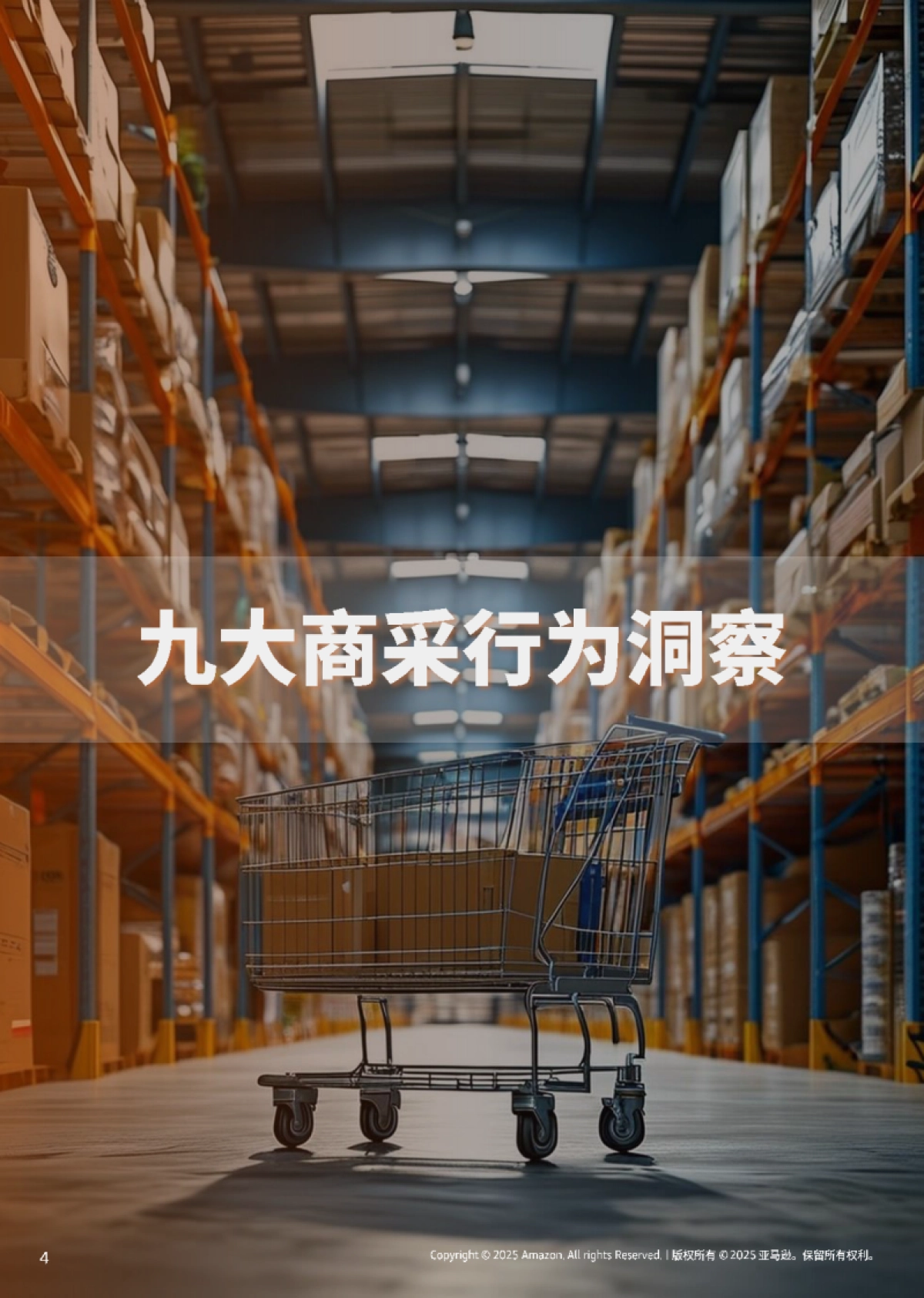 【亚马逊】2025年亚马逊全球线上商采趋势与区域洞察报告_第4页