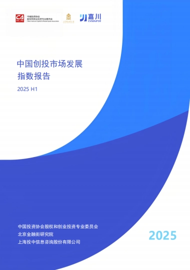 2025年中国创投市场发展指数报告-投中嘉川.pdf