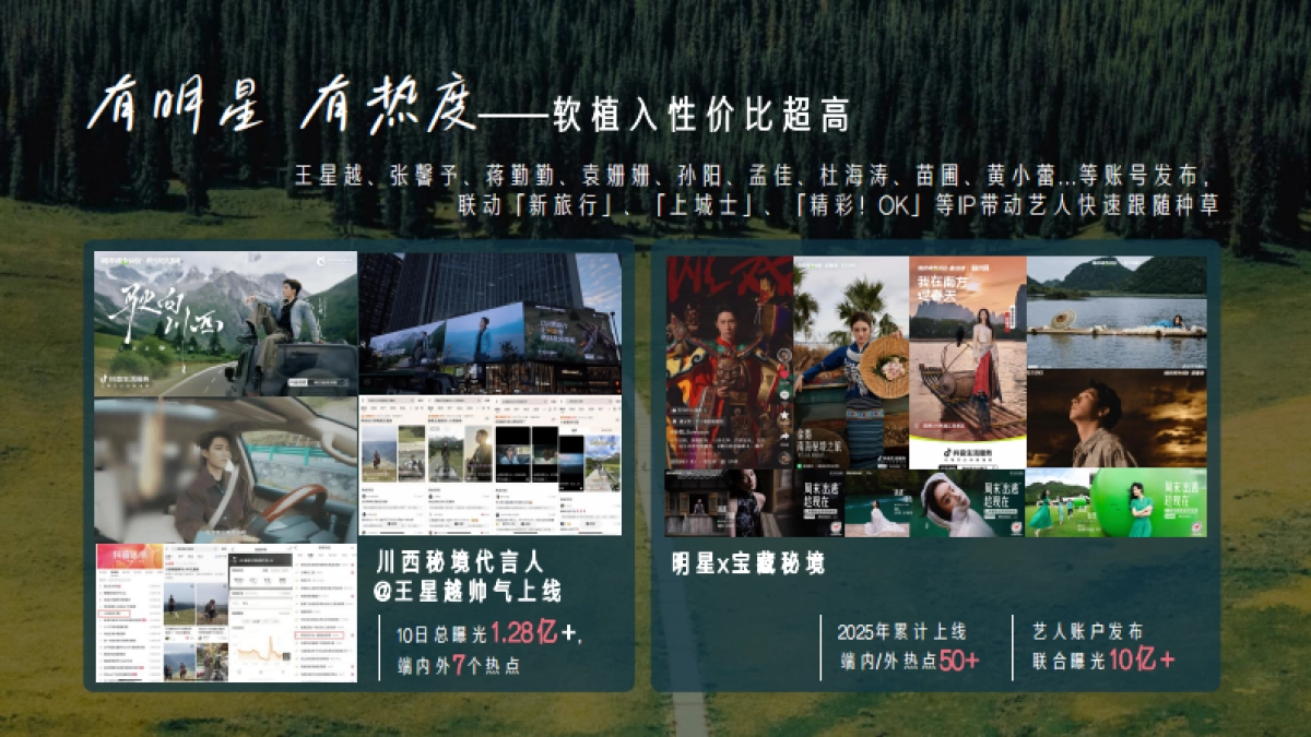 抖音来南方过冬—彩色的冬天招商方案.pdf_第3页