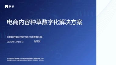 2025年电商内容种草数字化解决方案.pdf