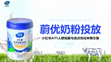 蔚优H2小红书种草策划案.pdf