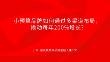 暴肌创始人：小预算品牌如何通过多渠道布局，撬动每年200%增长.pdf