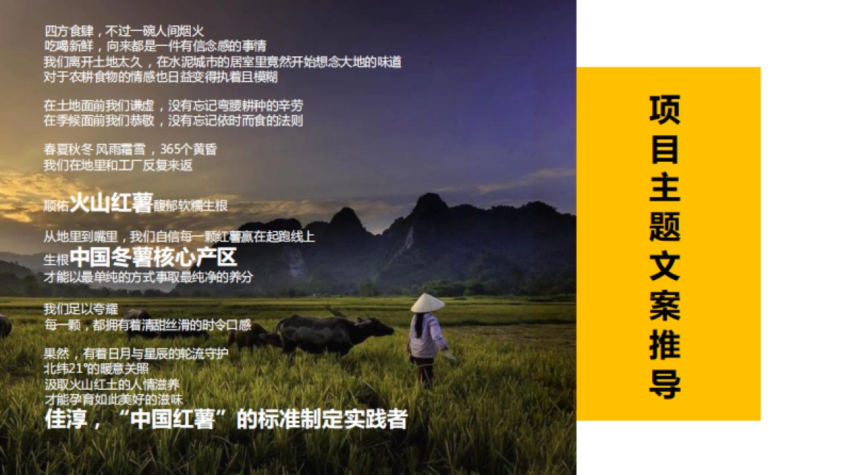 火山红薯地瓜品牌自媒体运营建议规划方案.pdf_第9页